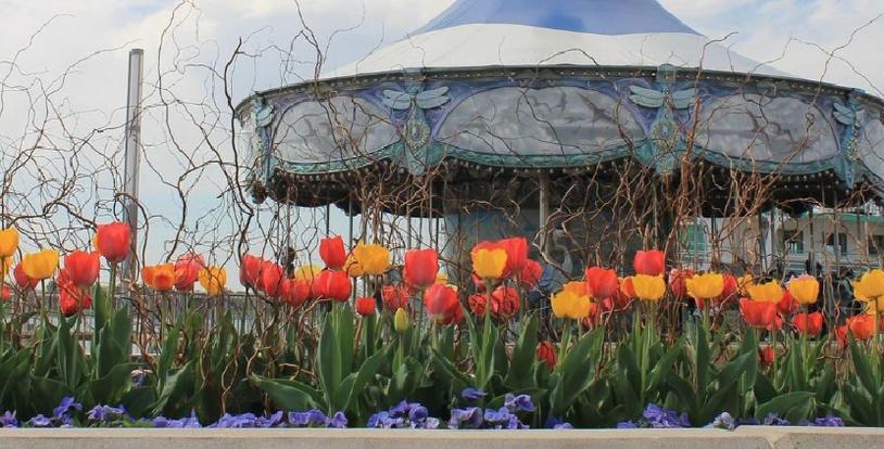 Detroit International Riveralk landscape tulips flowers