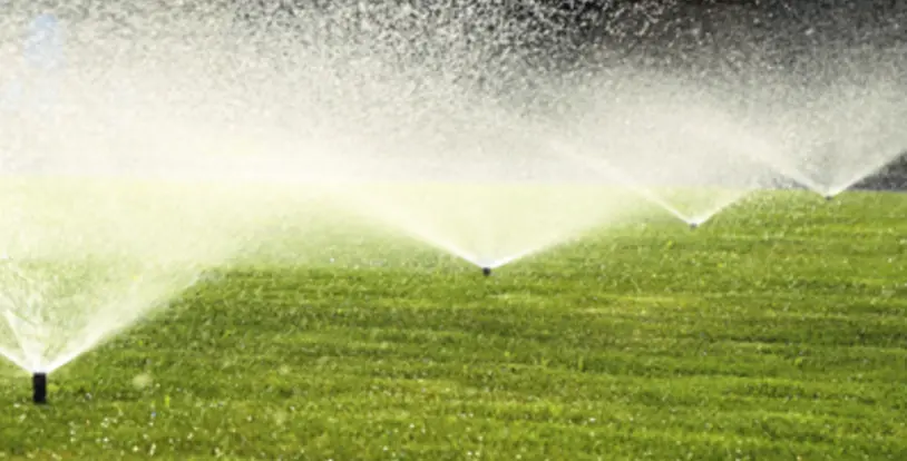 10 Reasons to Skip that Winter Lawn