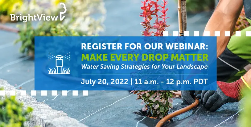 Register for our Webinar: Make Every Drop Count - Water Saving Strategies for Your Landscape