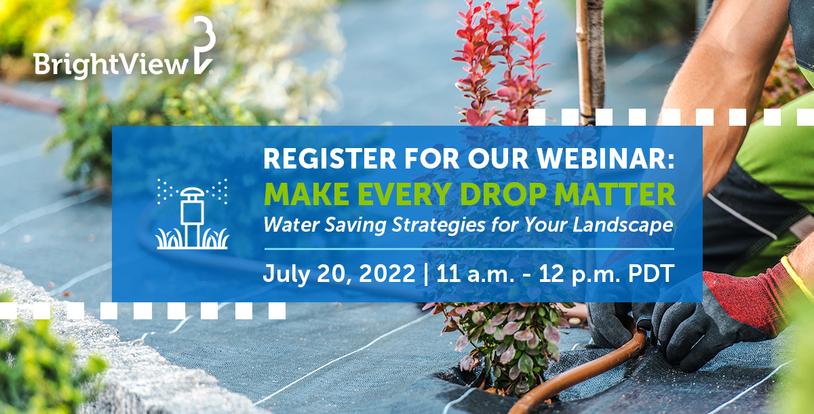 Register for our Webinar: Make Every Drop Count - Water Saving Strategies for Your Landscape