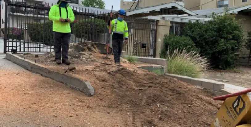 BrightView Tree Care tree stump removal