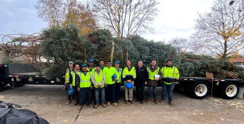 Chicago Christmas tree BrightView