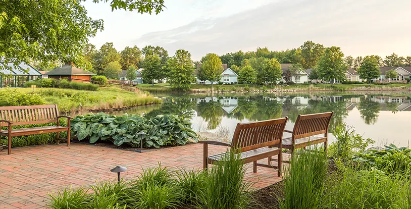 Tips to Improve Landscape Quality