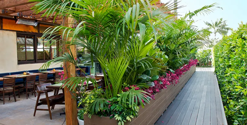 California Maintenance Services