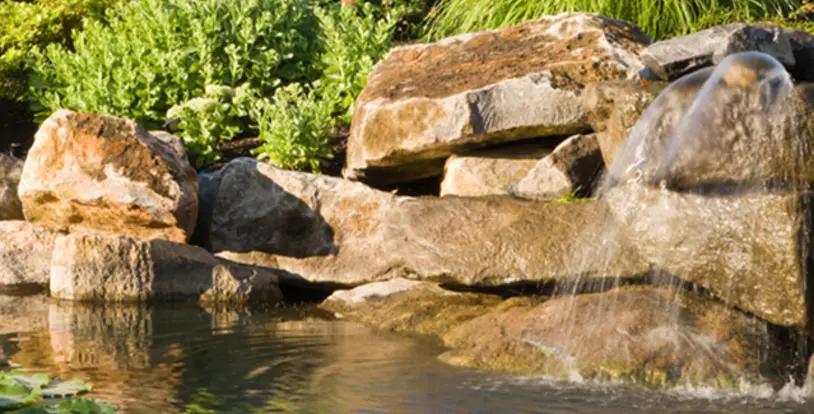 California Water Management