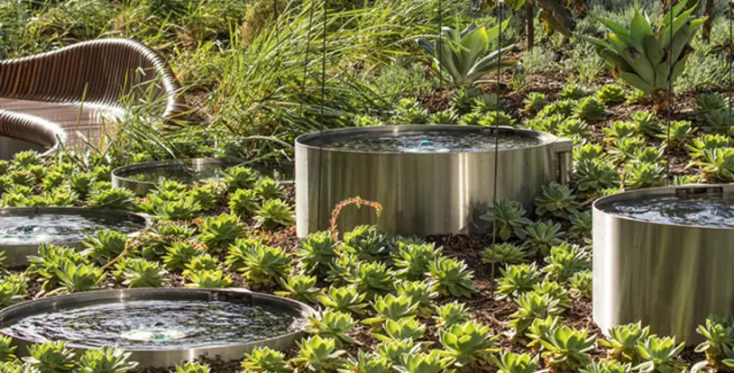 California Water Management