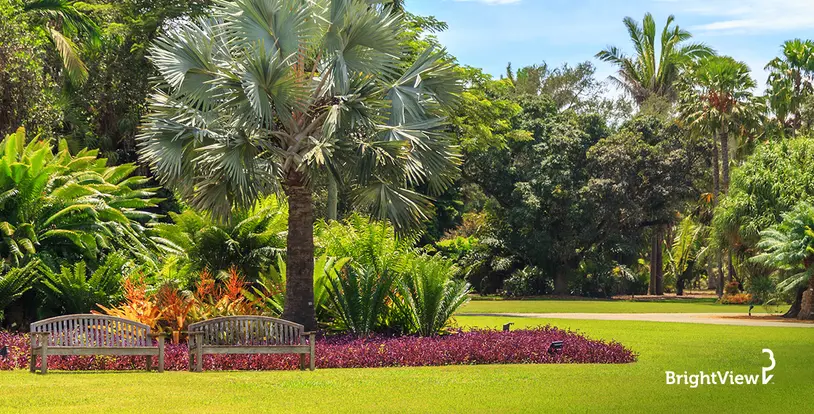 Ready to give your landscape a shot in the arm? Check out our top tips.