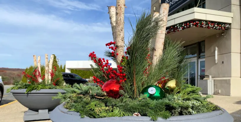 Holiday planters greenery