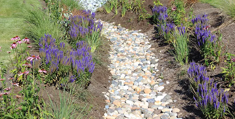 Take Control of Erosion