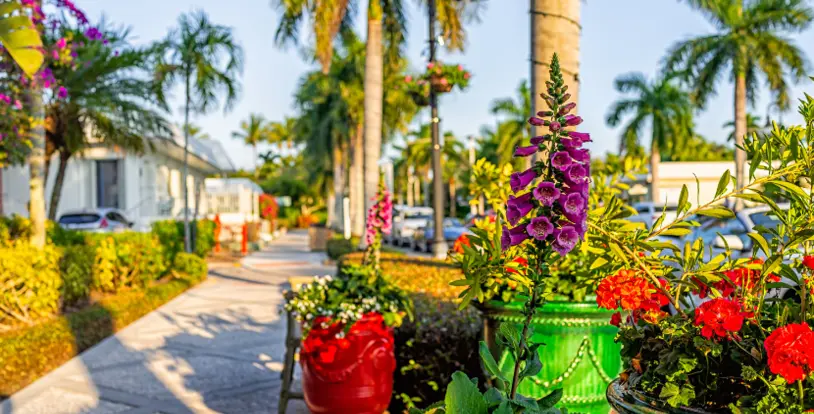 BrightView's Expertise at Your Service