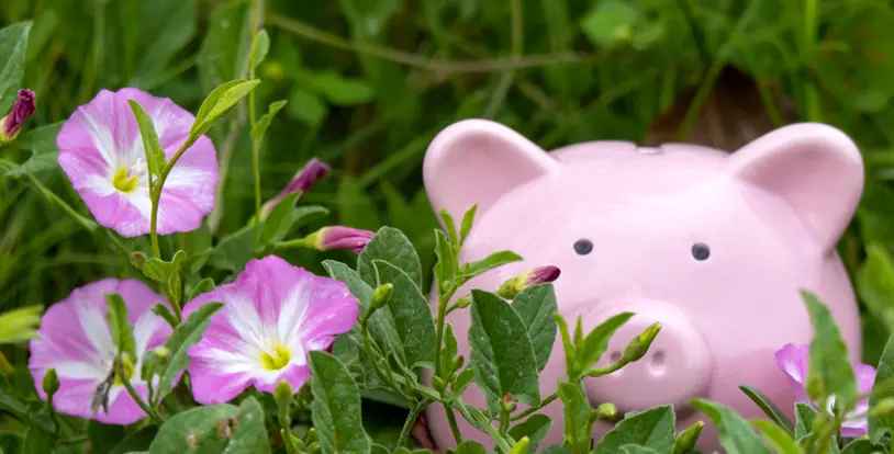 5 Clever Ways to Maximize Your HOA’s Landscaping Budget