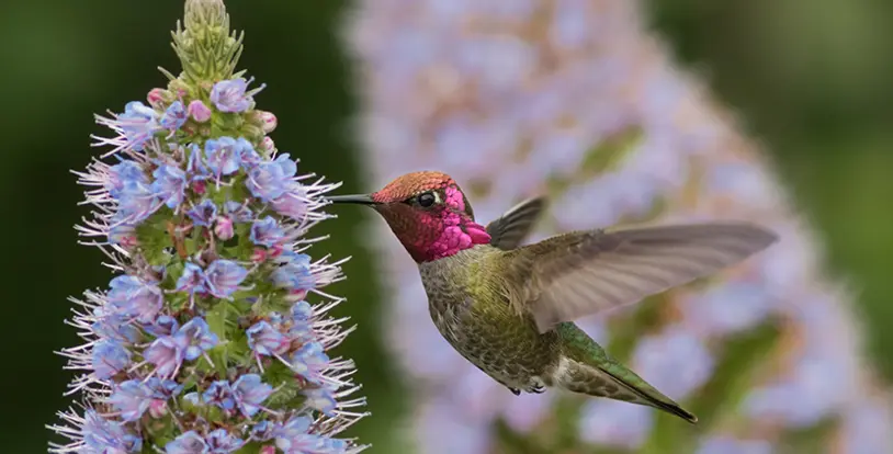 Landscape Sustainability Scavenger Hunt