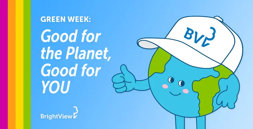 Good for the Planet, Good for You Graphic