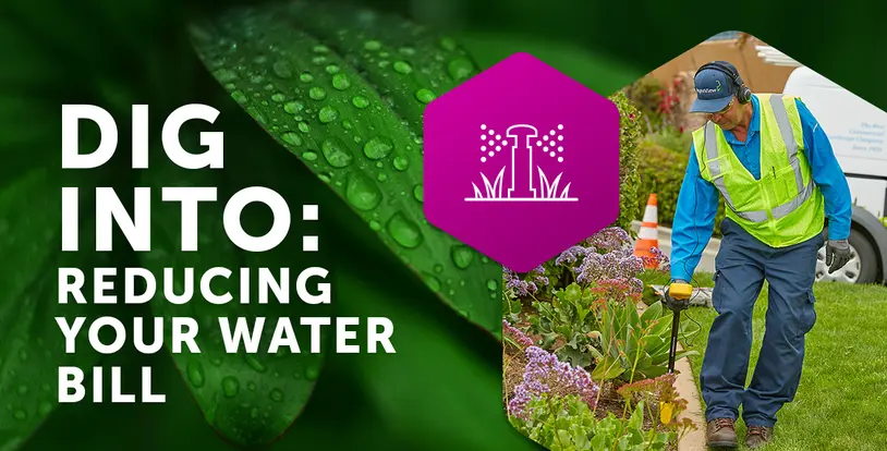 Dig Into Reducing Your Water Bill