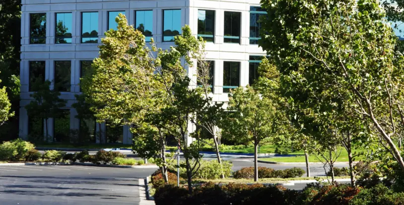 Parking Lot Landscaping