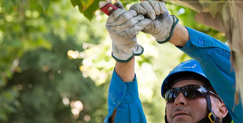 Safety Week 2 Related Image 