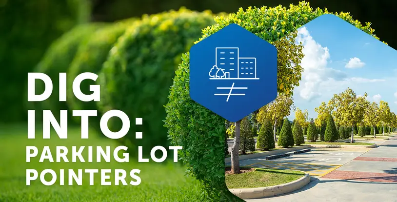 Dig Into: Parking Lot Pointers