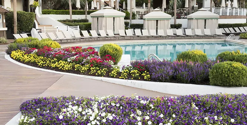 Hilton Head Pool Landscaping