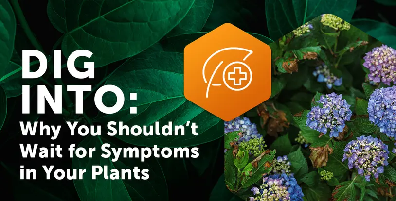 Dig Into: Why You Shouldn't Wait for Symptoms in Your Plants