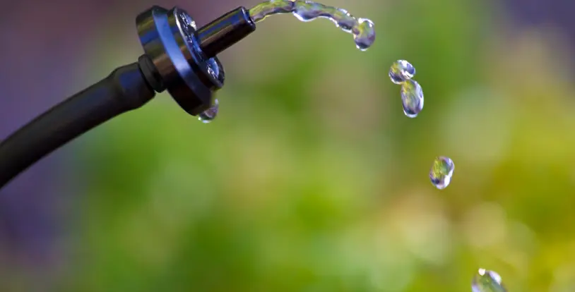 drip irrigation water droplets