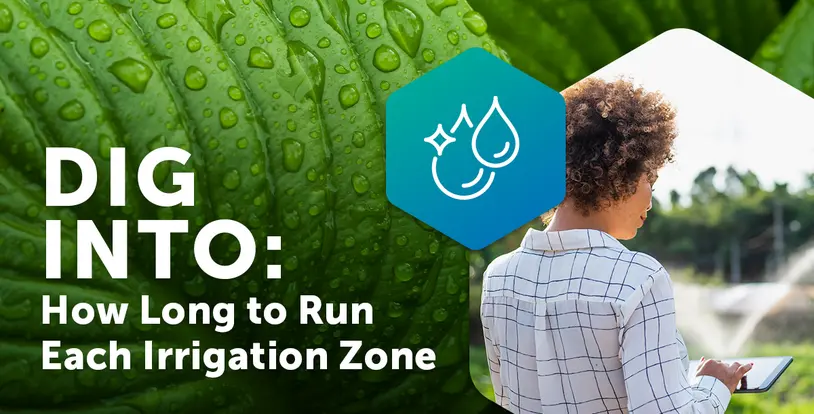 Irrigation watering