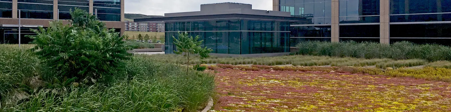 Denver Landscape Development