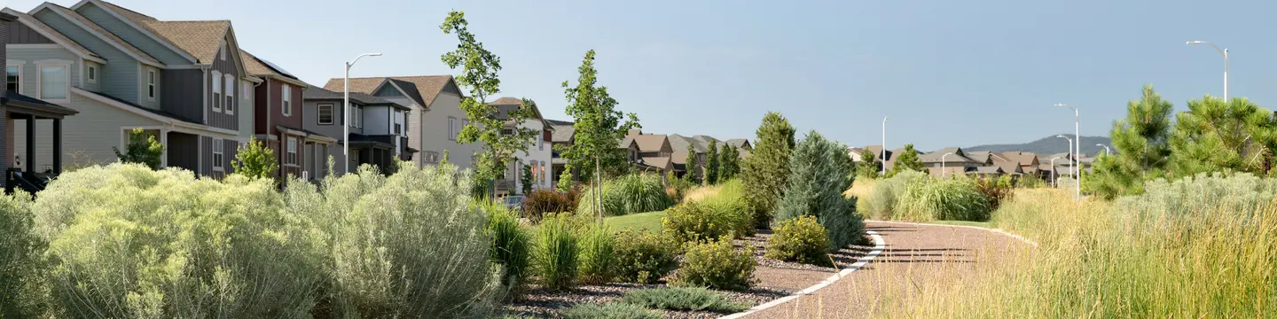 Landscape Construction & Development Services