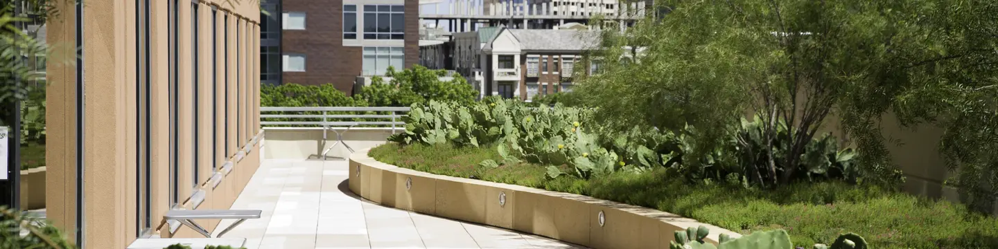 Texas Commercial Landscape Construction Background