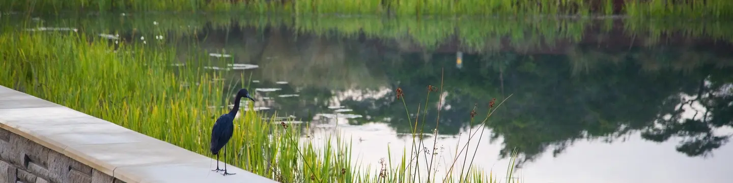 Florida Landscape Construction Services