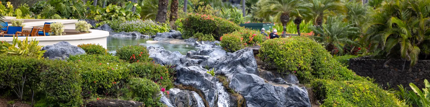 Best Maui Landscape Construction Company
